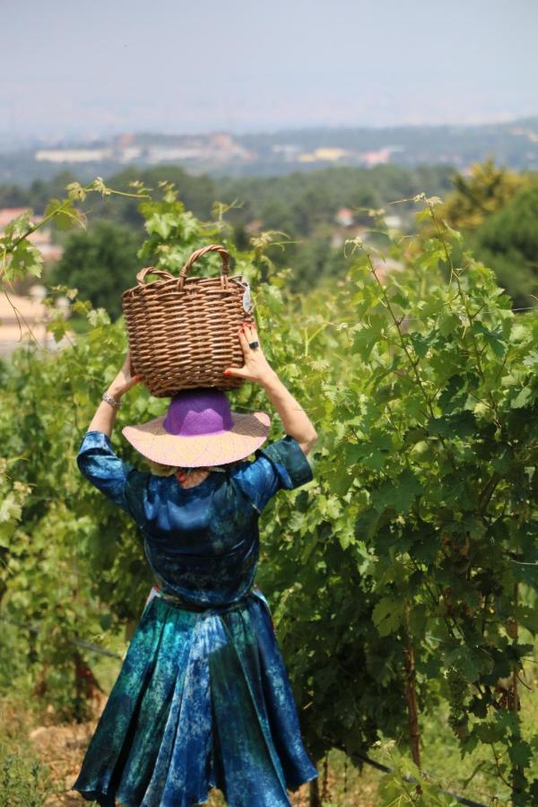 Vila Quinta Da Chapeleira Em Azeitão Exteriér fotografie