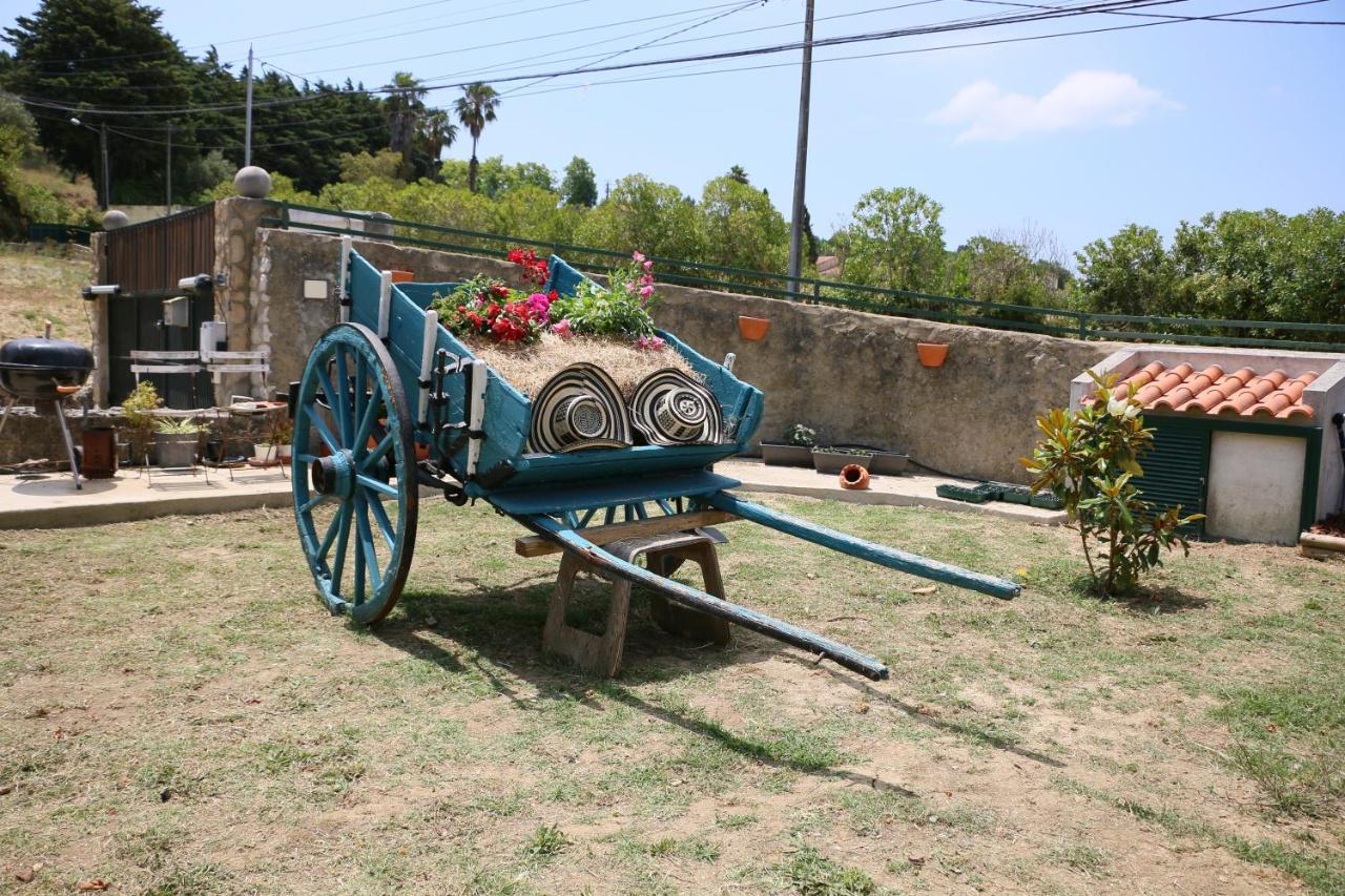 Vila Quinta Da Chapeleira Em Azeitão Exteriér fotografie