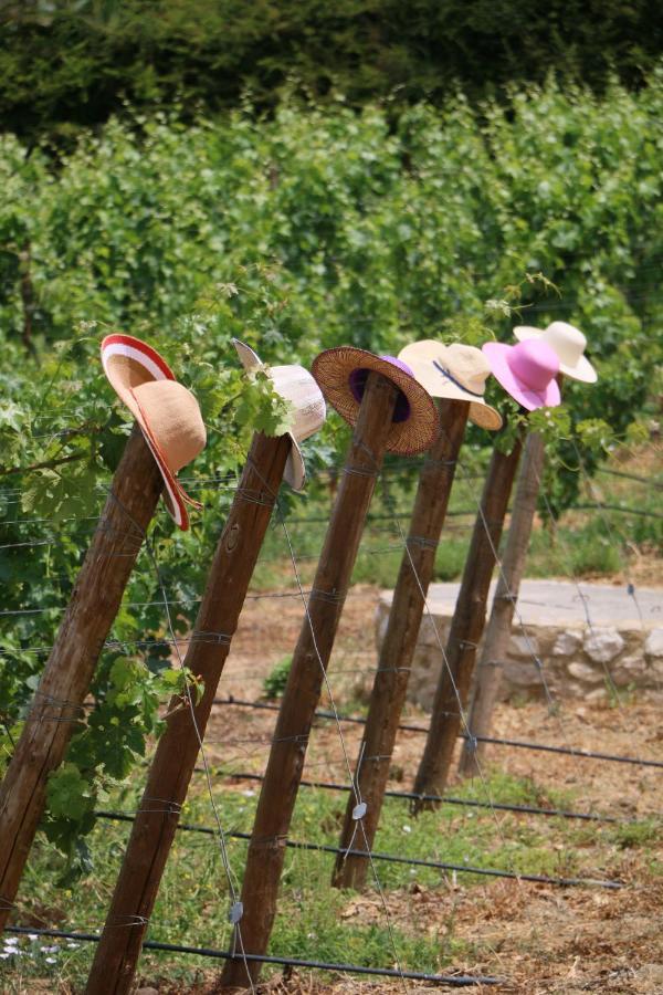 Vila Quinta Da Chapeleira Em Azeitão Exteriér fotografie